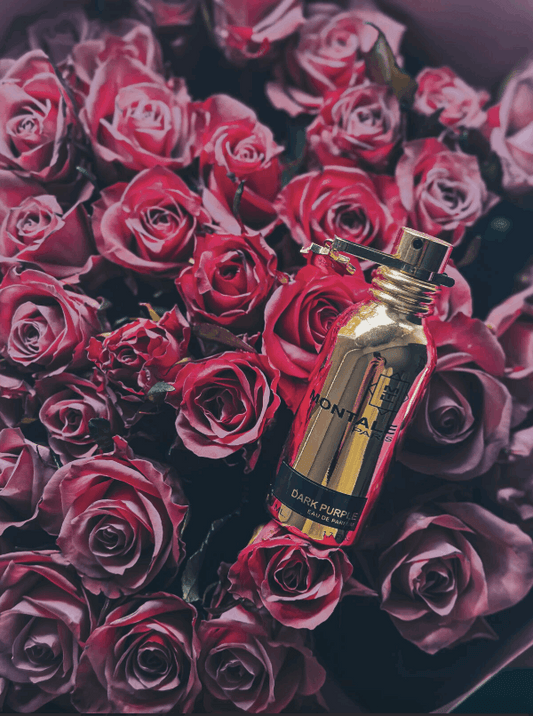 Montale – Dark Purple | Neyi Essence