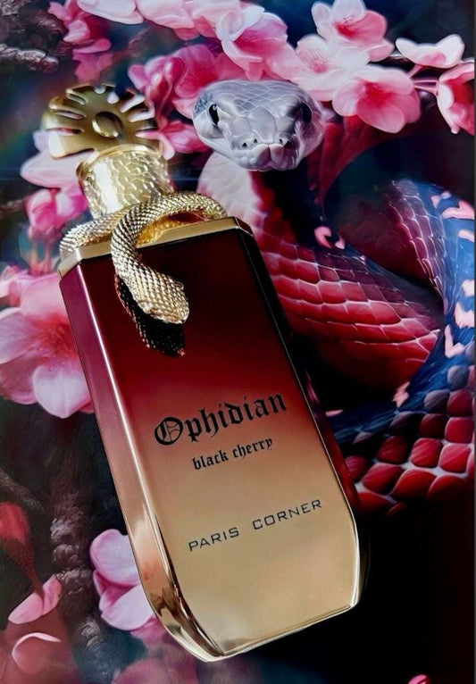 Paris Corner Ophidian Black Cherry