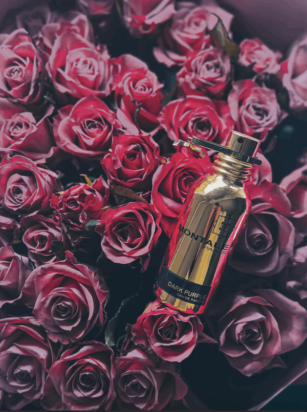 Montale – Dark Purple | Neyi Essence