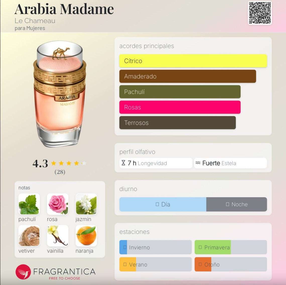 Le Chameau - Arabia Madame