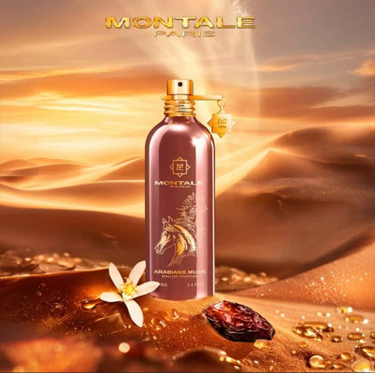 Montale – Arabians Musk 100ml | Neyi Essence