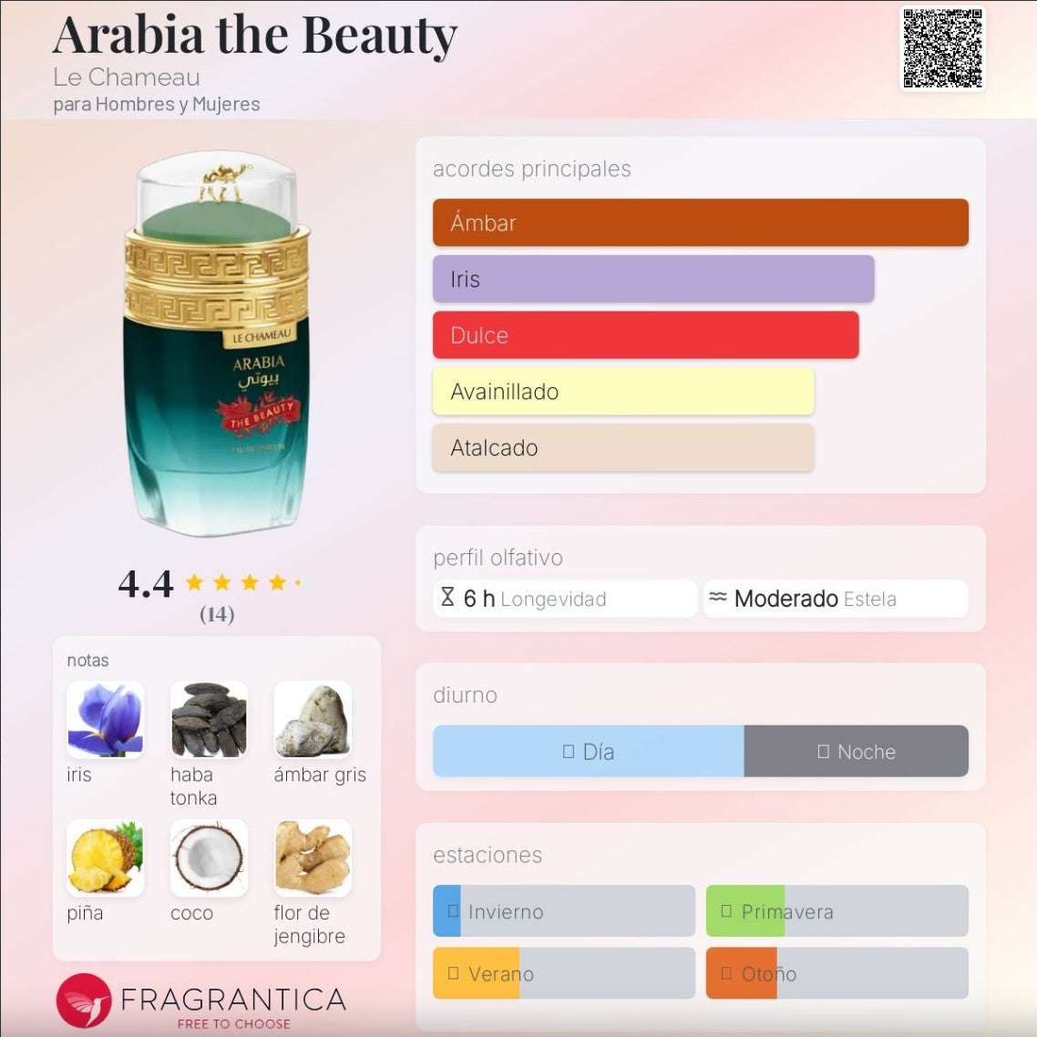 Le Chameau - Arabia The Beauty