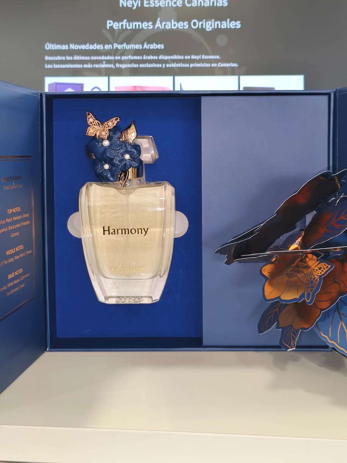 Maison Asrar – Harmony EDP 100ml | Neyi Essence