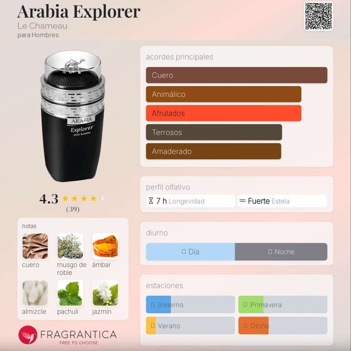 Le Chameau - Arabia Explorer