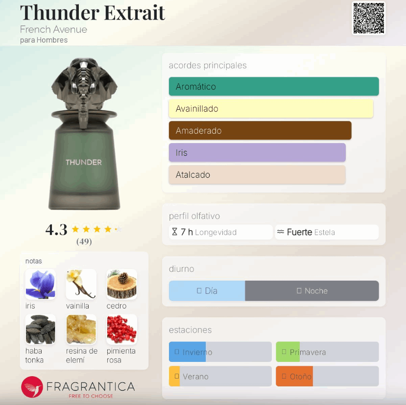 French Avenue – Thunder Extrait 100 ml  | Neyi Essence